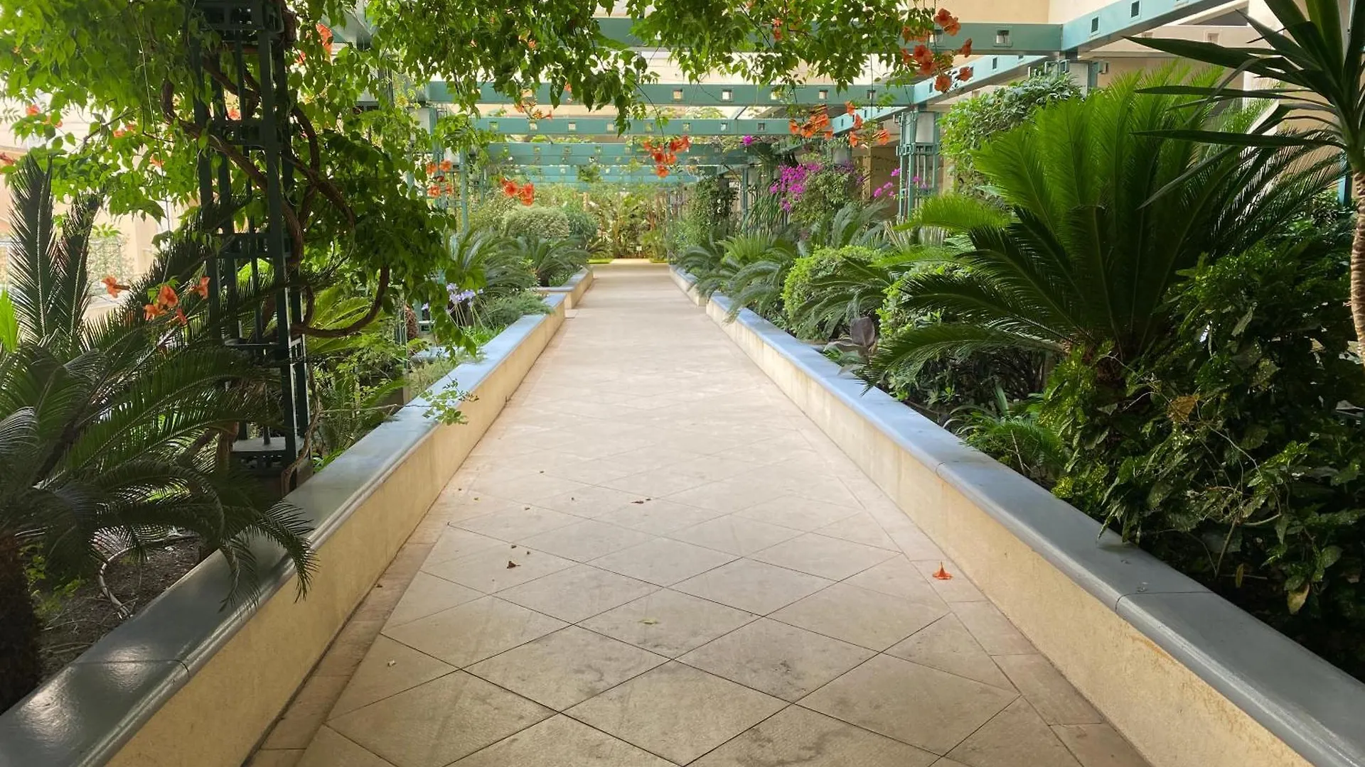 Le Grand Palais De La Mediterranee Beach Access Apartments - Top Choice In Nice 0*,  France